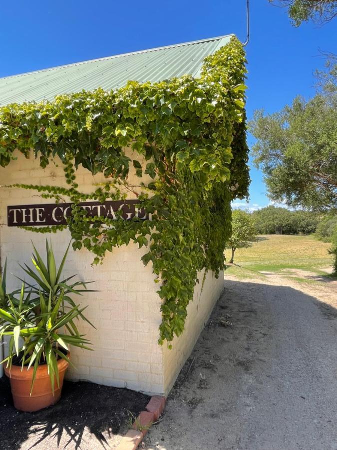 The Fingal Farmヴィラ エクステリア 写真